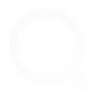 UI/UX Design