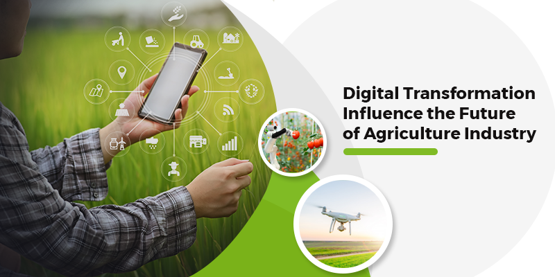 Digital Transformation Influences The Future Of Agriculture Industry 3006